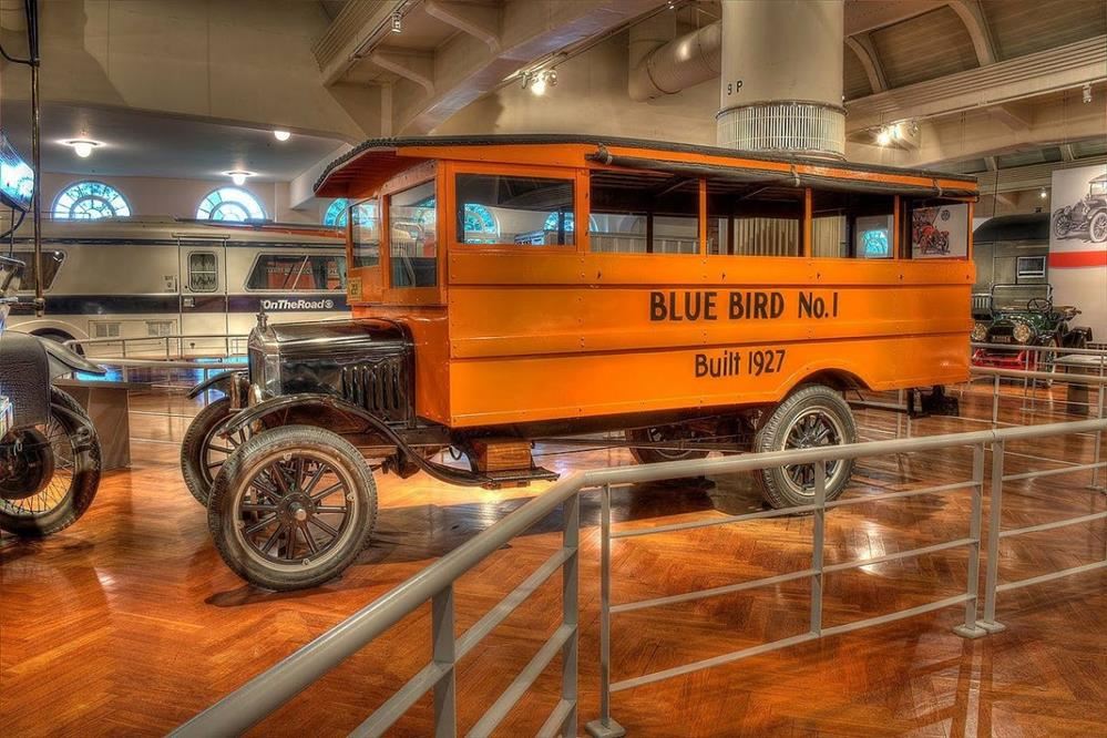 First School Bus First School Bus