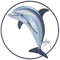 Anna Maria Elementary logo